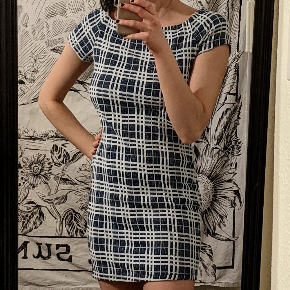 LUSH Clothing blue and white plaid dress